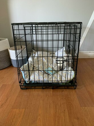 Tip: Why puppies like crates